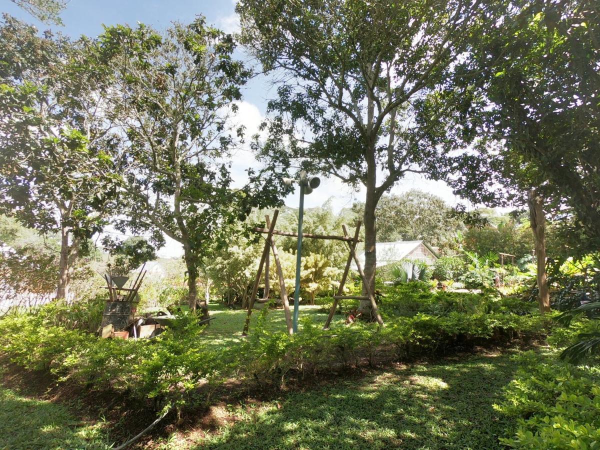 Tribu Ecohostal Los Santos  Ngoại thất bức ảnh