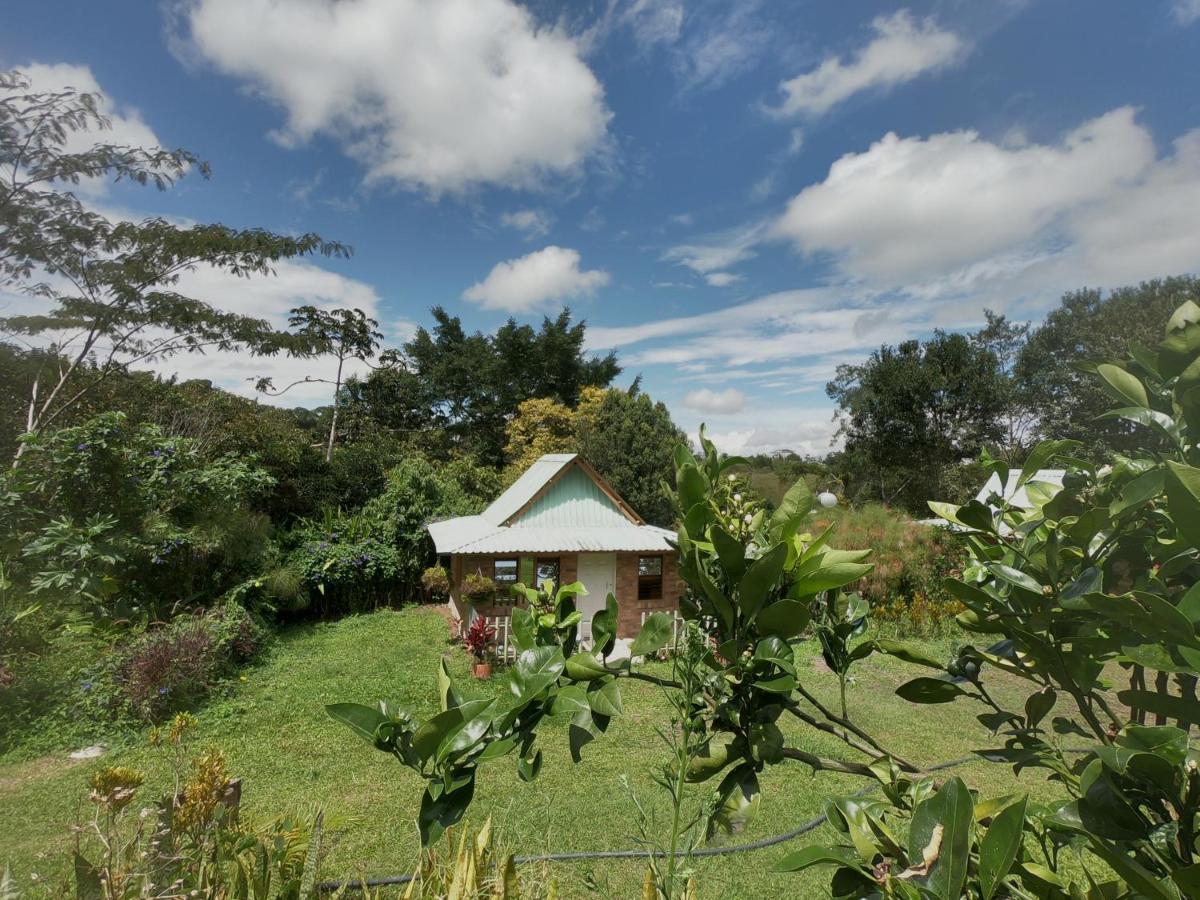 Tribu Ecohostal Los Santos  Ngoại thất bức ảnh