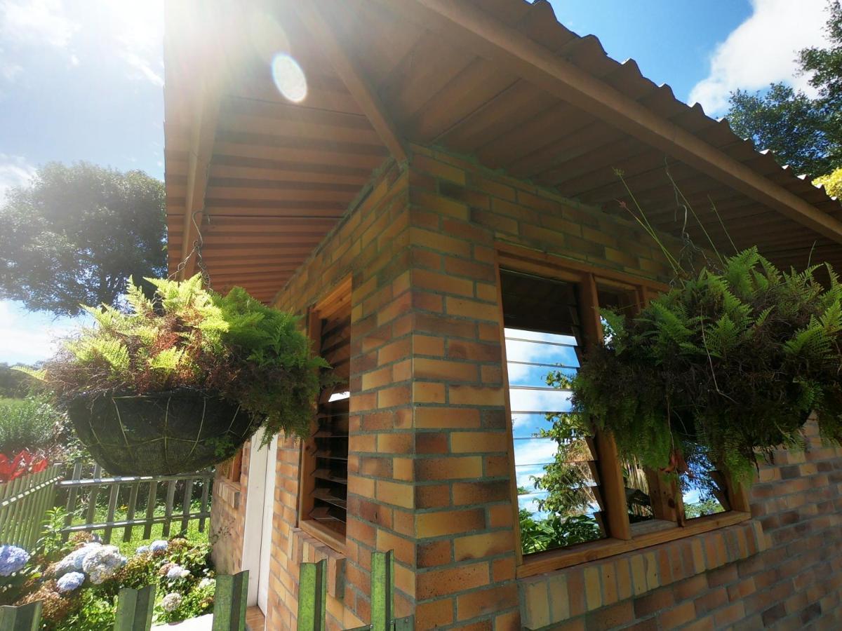 Tribu Ecohostal Los Santos  Ngoại thất bức ảnh