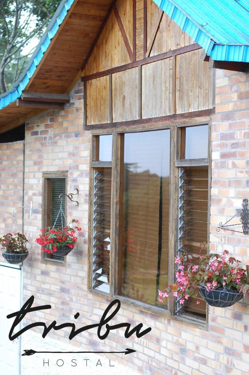 Tribu Ecohostal Los Santos  Ngoại thất bức ảnh