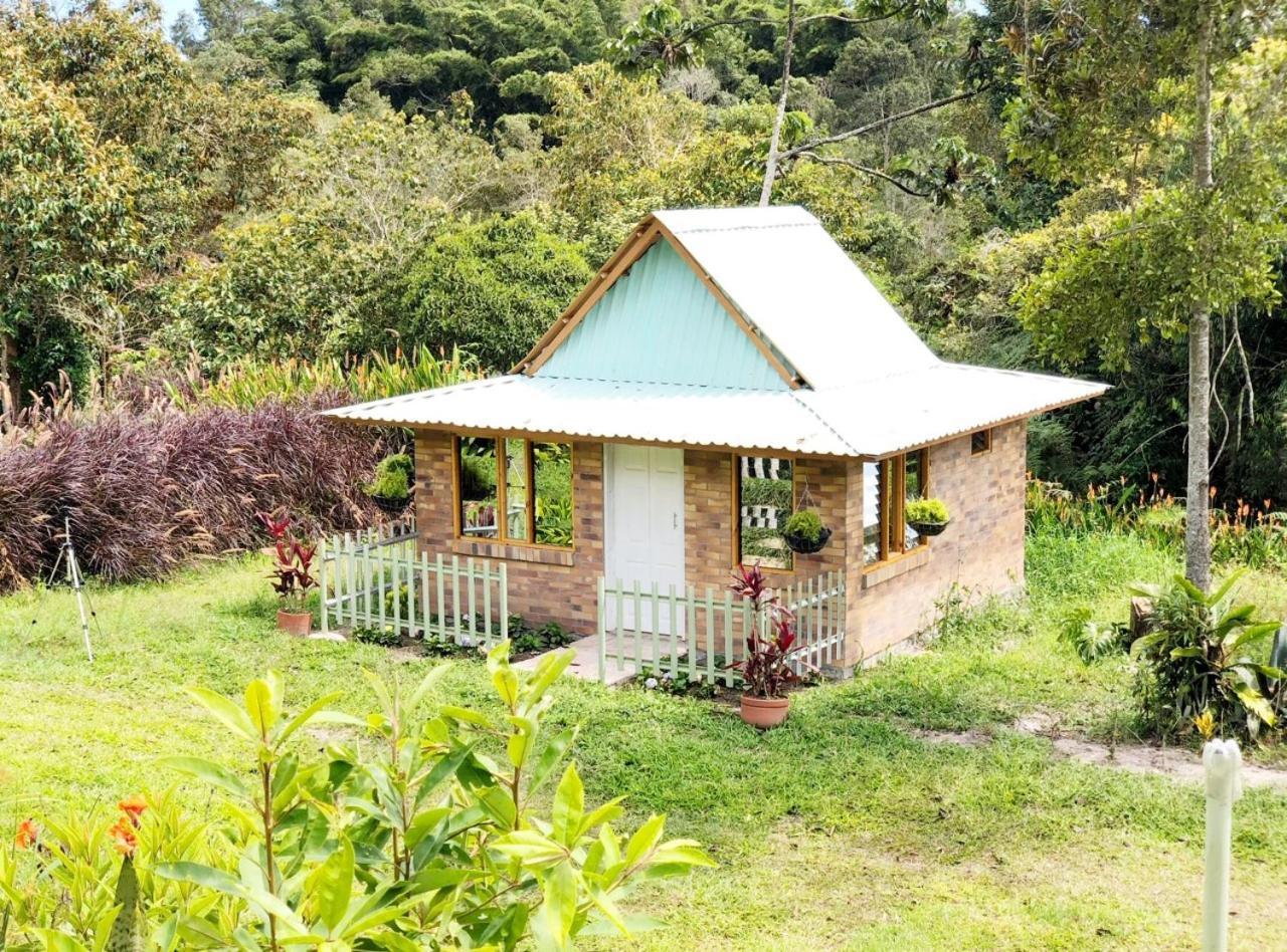 Tribu Ecohostal Los Santos  Ngoại thất bức ảnh